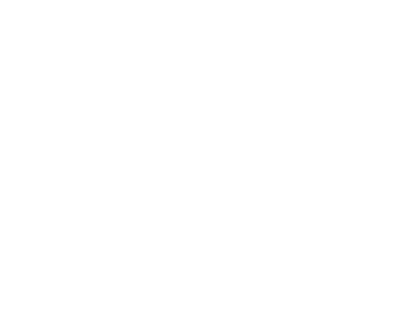 Toniato Boutique e American Vintage