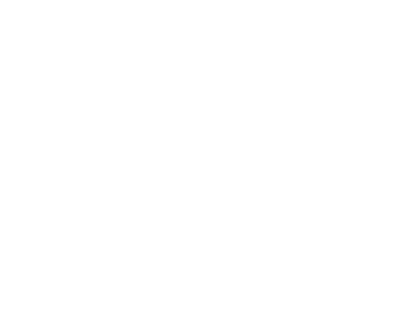 Toniato Boutique e Stone Island