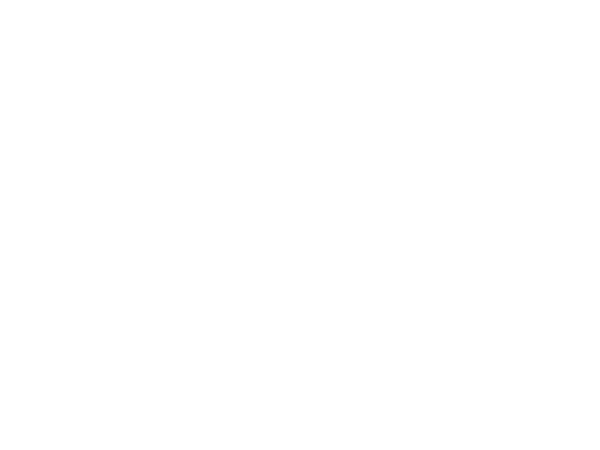 Toniato Boutique e TWIN Set